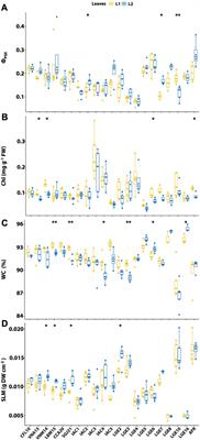 Rescuing the Brazilian Agave breeding program: morphophysiological and molecular characterization of a new germplasm